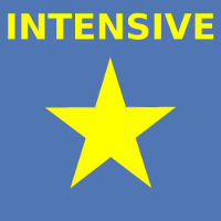 Intensive Music